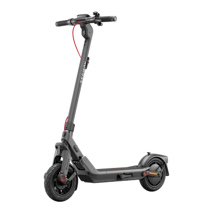 Segway Ninebot E3 Pro D E-Scooter 400W 368Wh Straßenzulassung 20km/h