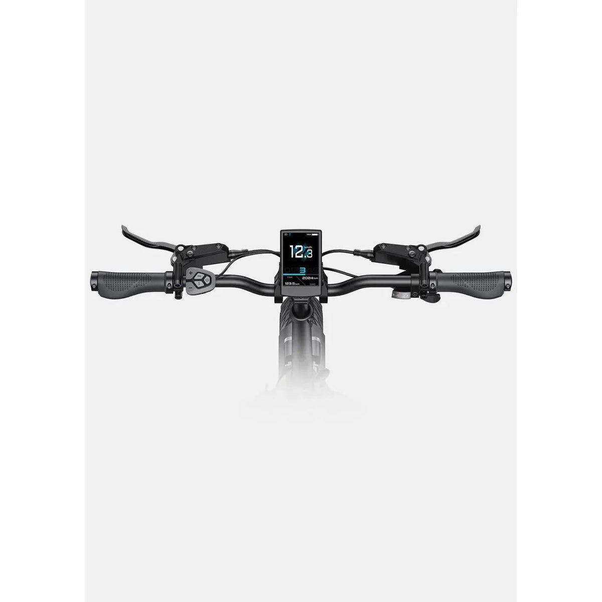 ENGWE L20 3.0 Pro E-Bike Klapprad, Mittelmotor 100 Nm, 720 Wh, Vollfederung, Schwarz – Bild 2