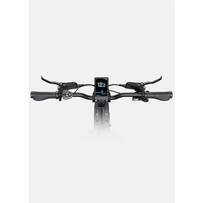 ENGWE L20 3.0 Pro E-Bike Klapprad, Mittelmotor 100 Nm, 720 Wh, Vollfederung, Schwarz – Bild 2