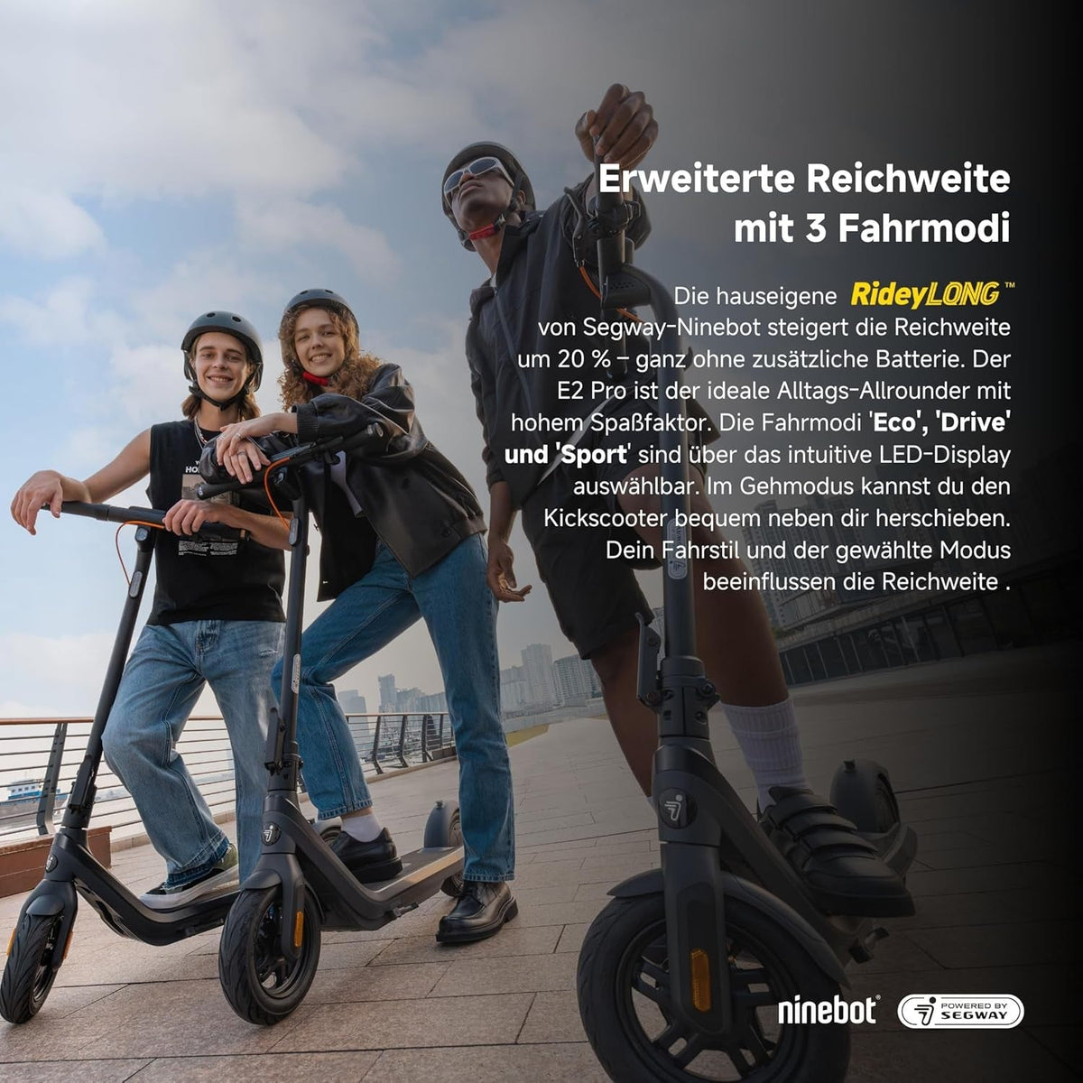 Segway Ninebot E2 Pro D E-Scooter, 10 Zoll, 350 W (750 W Peak), 35 km Reichweite, Straßenzulassung, Schwarz – Bild 3